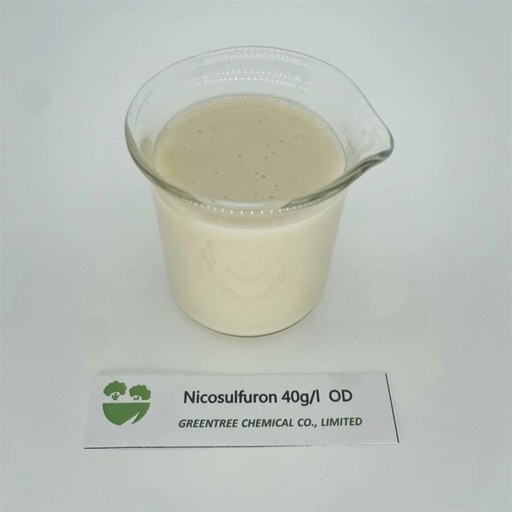 CAS NO. 111991-09-4 Herbicíd Nicosulfuron 40 G/L OD