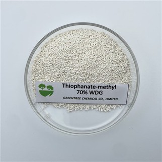 C12H14N4O4S2 Tiofanát-metyl 70% Wdg granule Fungicíd