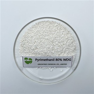 Pyrimethanil 80% WDG Agricultural Chemicals Fungicíd